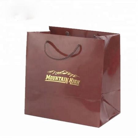 lieferantendesign individuell gestaltete verpackung eco luxuspapiereinkaufstaschen mit druck markennamen logo