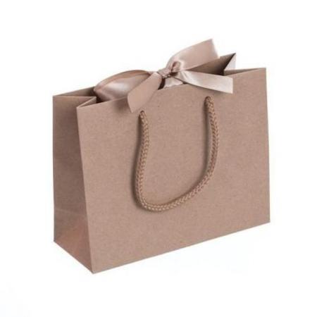 Gift Paper Bags With Ribbon Handle
